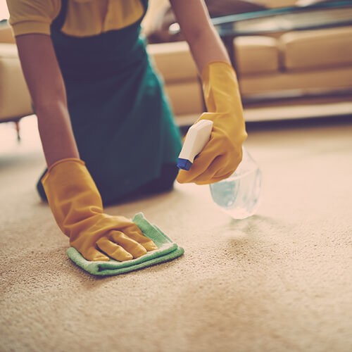 carpet_cleaning3_500x500